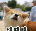游戏菜菜叽QWQ