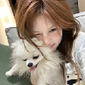 一口一个橘子小猫y
