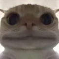 叫我楚河大人